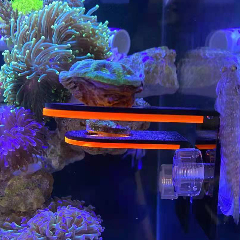 Aquarium Marine Fishes - Aquarium Acrylic Fluorescent Coral Growing Holder
