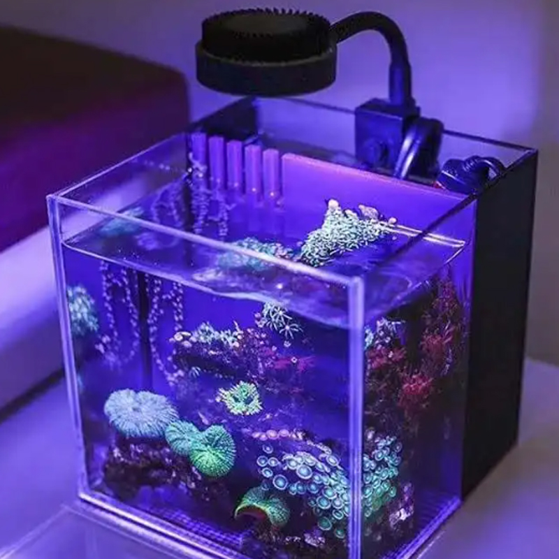 Zetlight Led Light M1 1050 Ful - Aquarium Marine Fishes recensione e prezzo