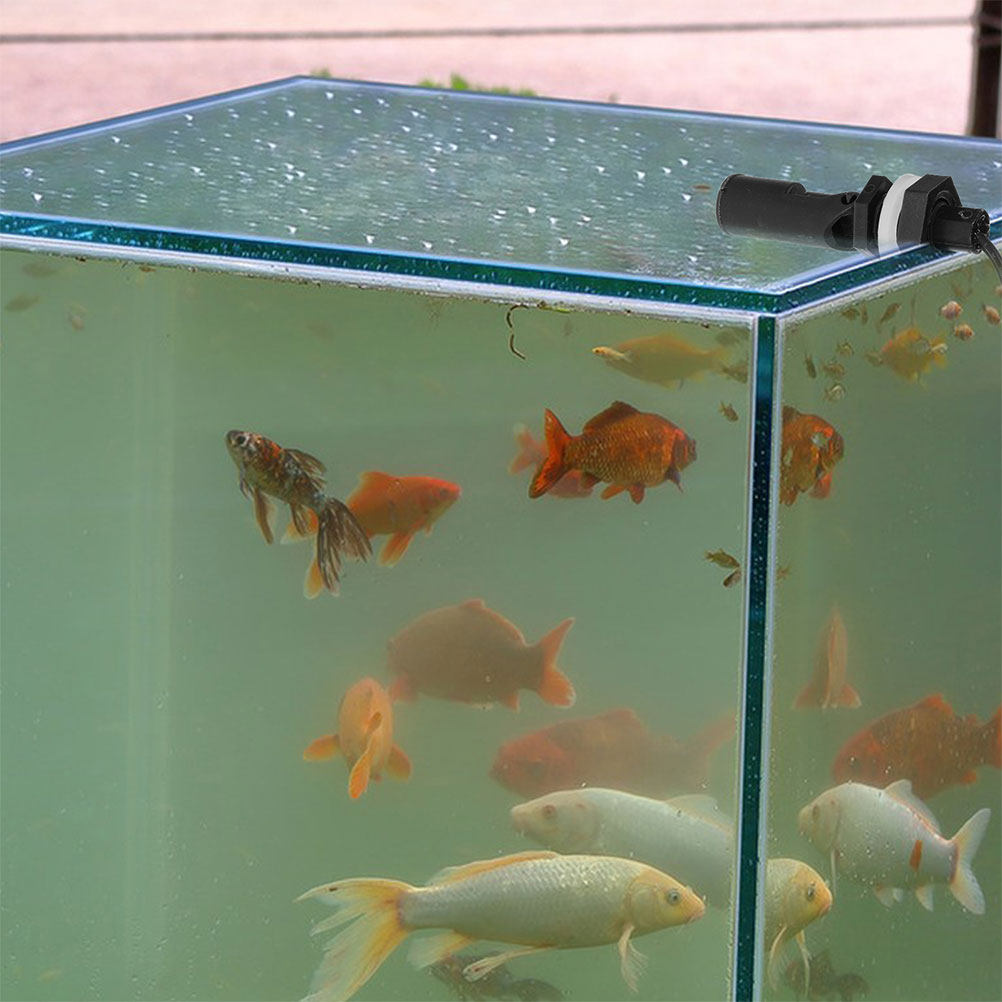 3Pcs Easy Install Plastic Side - Aquarium & Marine Museum Kota Kinabalu recensione e prezzo