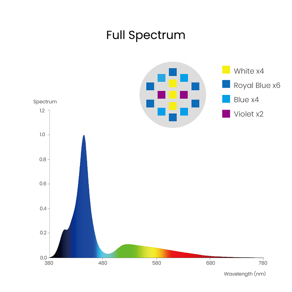 Spectra Aqua Knight V3 75W Pro - Marine Aquarium Aquascape recensione e prezzo