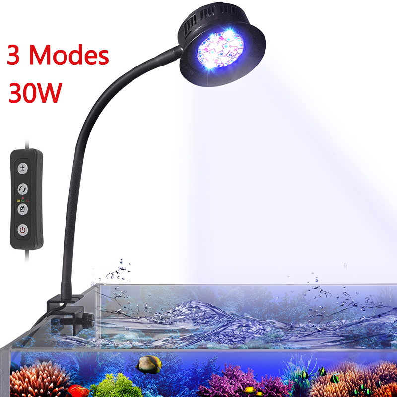 Aquarium LED Reef Light Seawat - Aquarium Marine Fishes recensione e prezzo
