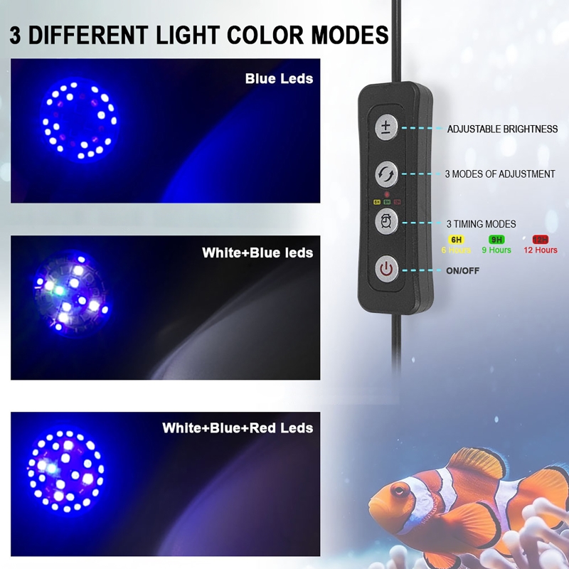 Aquarium LED Reef Light Seawat - Aquarium Marine Fishes recensione e prezzo