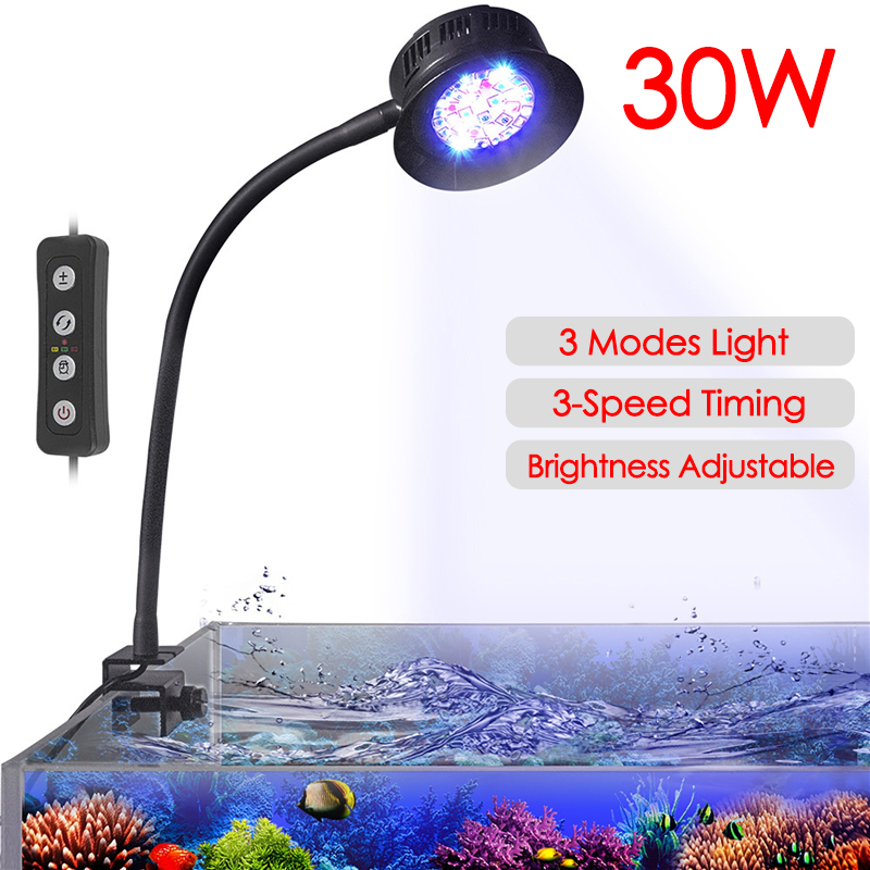 30W Aquarium Fish Tank Sea Wat - Marine Aquarium Aquascape recensione e prezzo