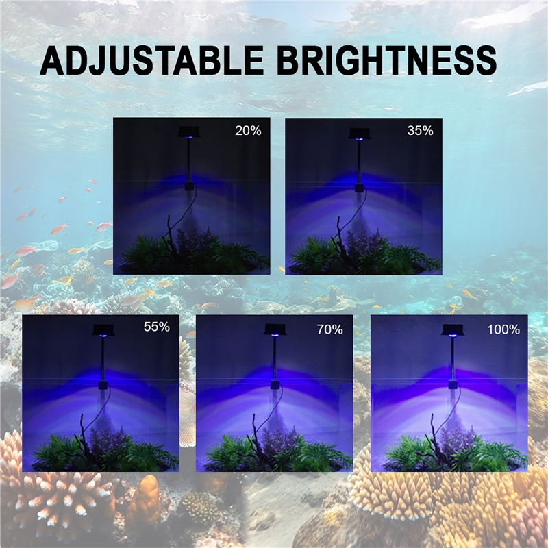 30W Aquarium Fish Tank Sea Wat - Marine Aquarium Aquascape recensione e prezzo
