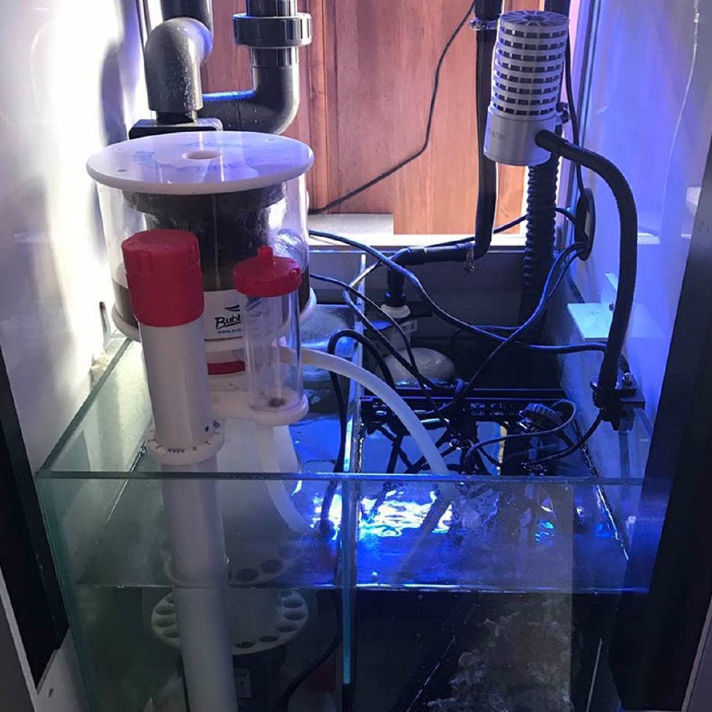 220V Bubble Magus Curve5 Aquar - Marine Aquarium Aquascape recensione e prezzo