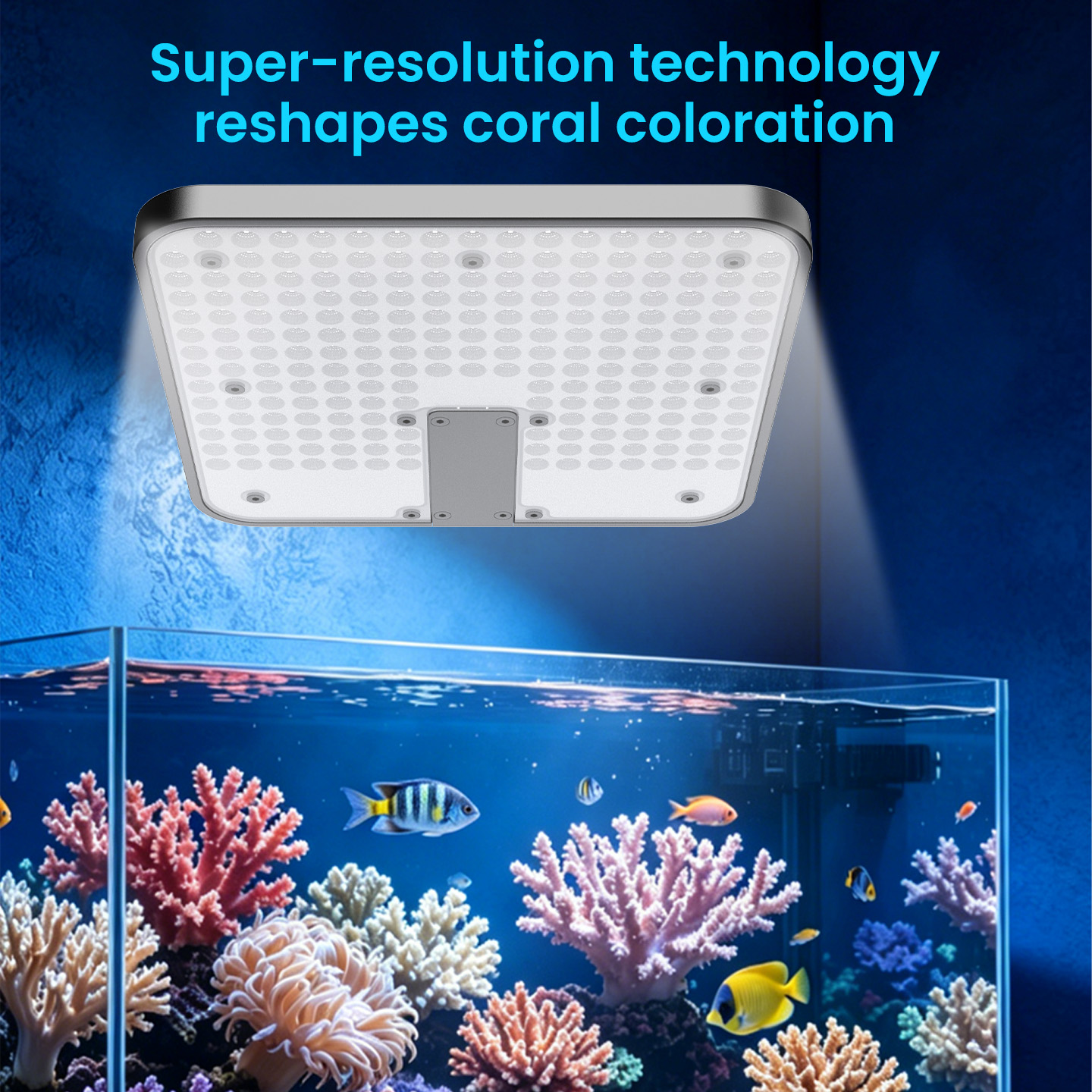 KASSRAY T120/T400 Full Spectru - Aquarium Marine Fishes recensione e prezzo