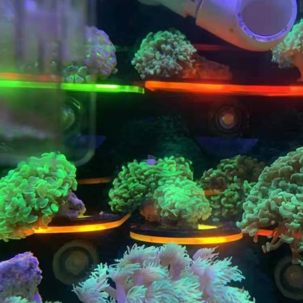 Fish Tank Acrylic Fluorescent  - Aquarium Marine Fishes recensione e prezzo