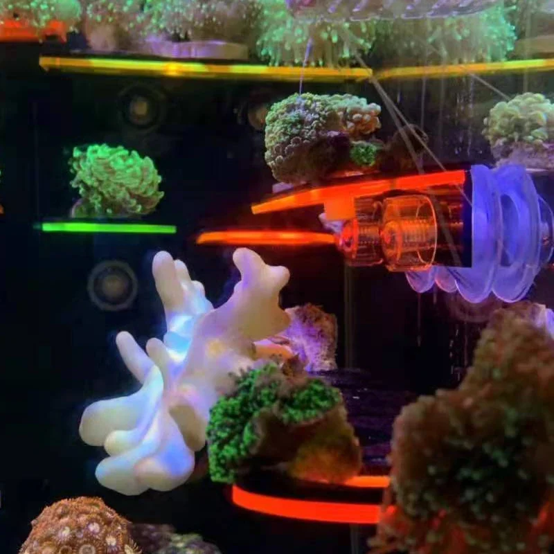 Fish Tank Acrylic Fluorescent  - Aquarium Marine Fishes recensione e prezzo