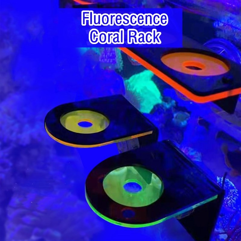 Aquarium Acrylic Fluorescent C - Aquarium Marine Fishes recensione e prezzo