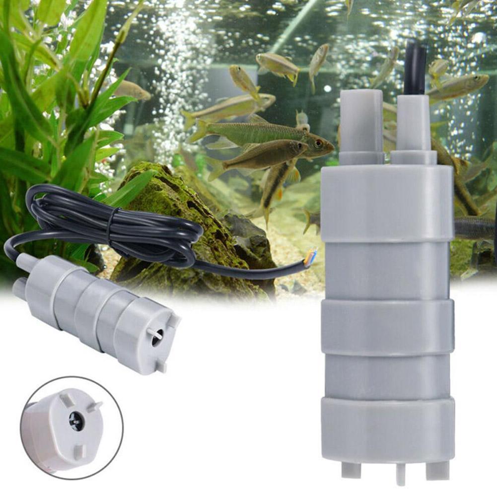 RV 12V Submersible Pump, 1000L - Aquarium & Marine Museum Kota Kinabalu recensione e prezzo