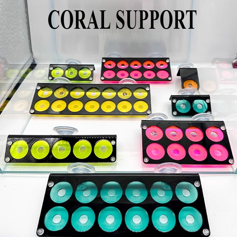 Acrylic Fluorescence SPS Coral - Marine Aquarium Aquascape recensione e prezzo
