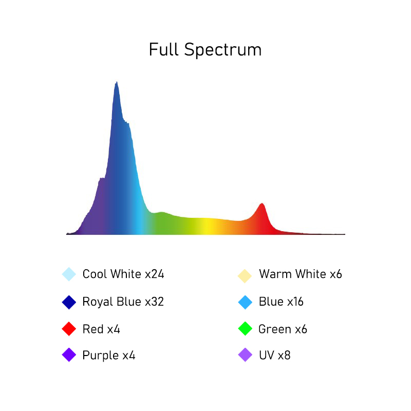 A8SE II Max And Blue 240W Full - Aquarium Marine Fishes recensione e prezzo