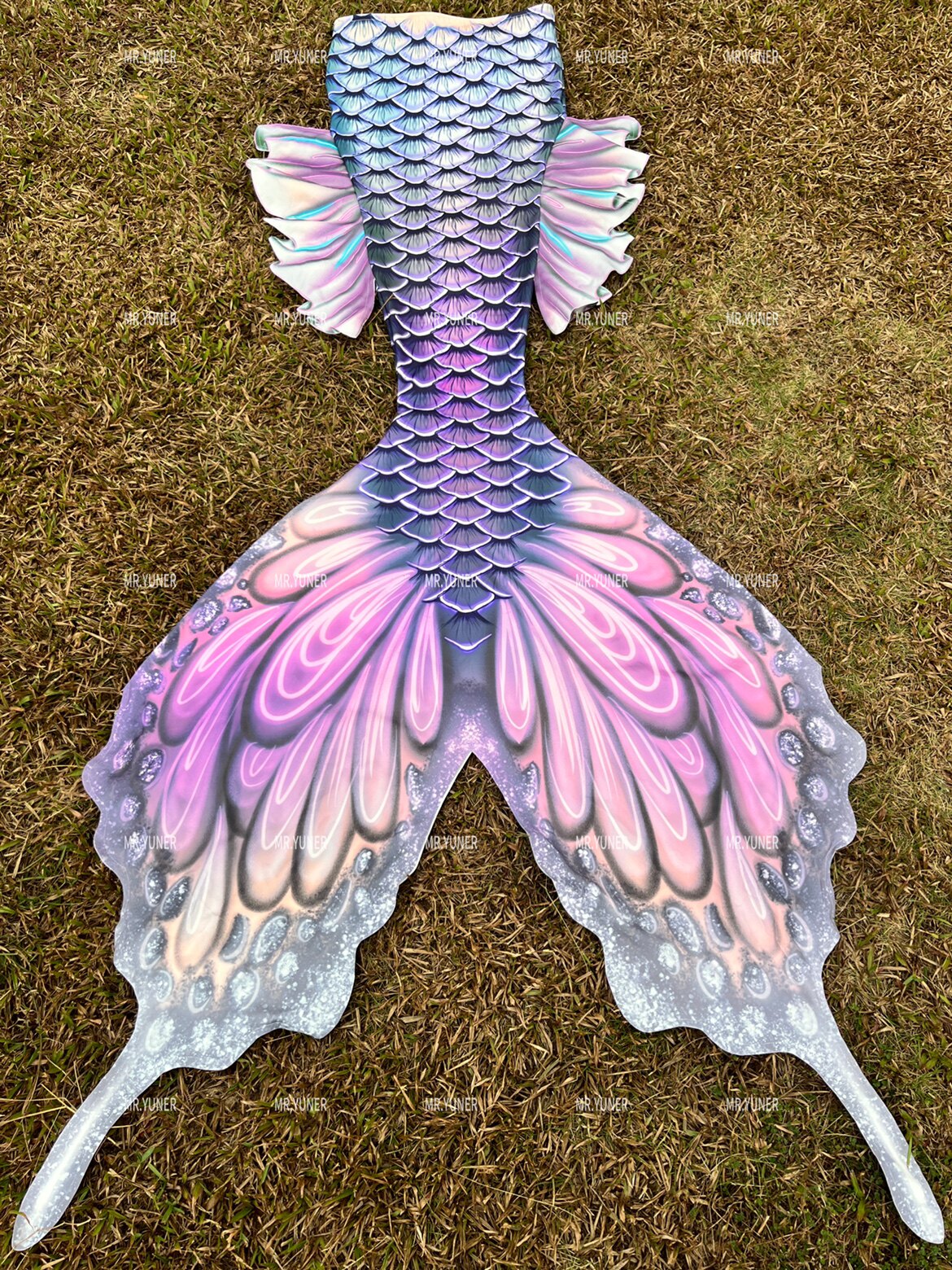 Butterfly Australian Fins Merm - Aquarium & Marine Museum Kota Kinabalu recensione e prezzo
