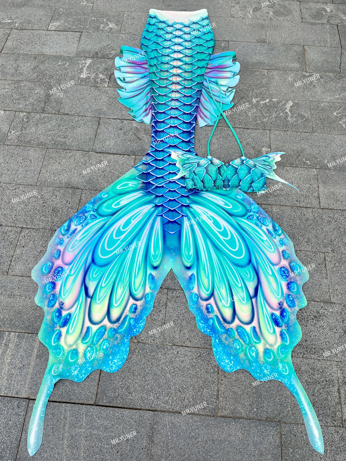 Butterfly Australian Fins Merm - Aquarium & Marine Museum Kota Kinabalu recensione e prezzo