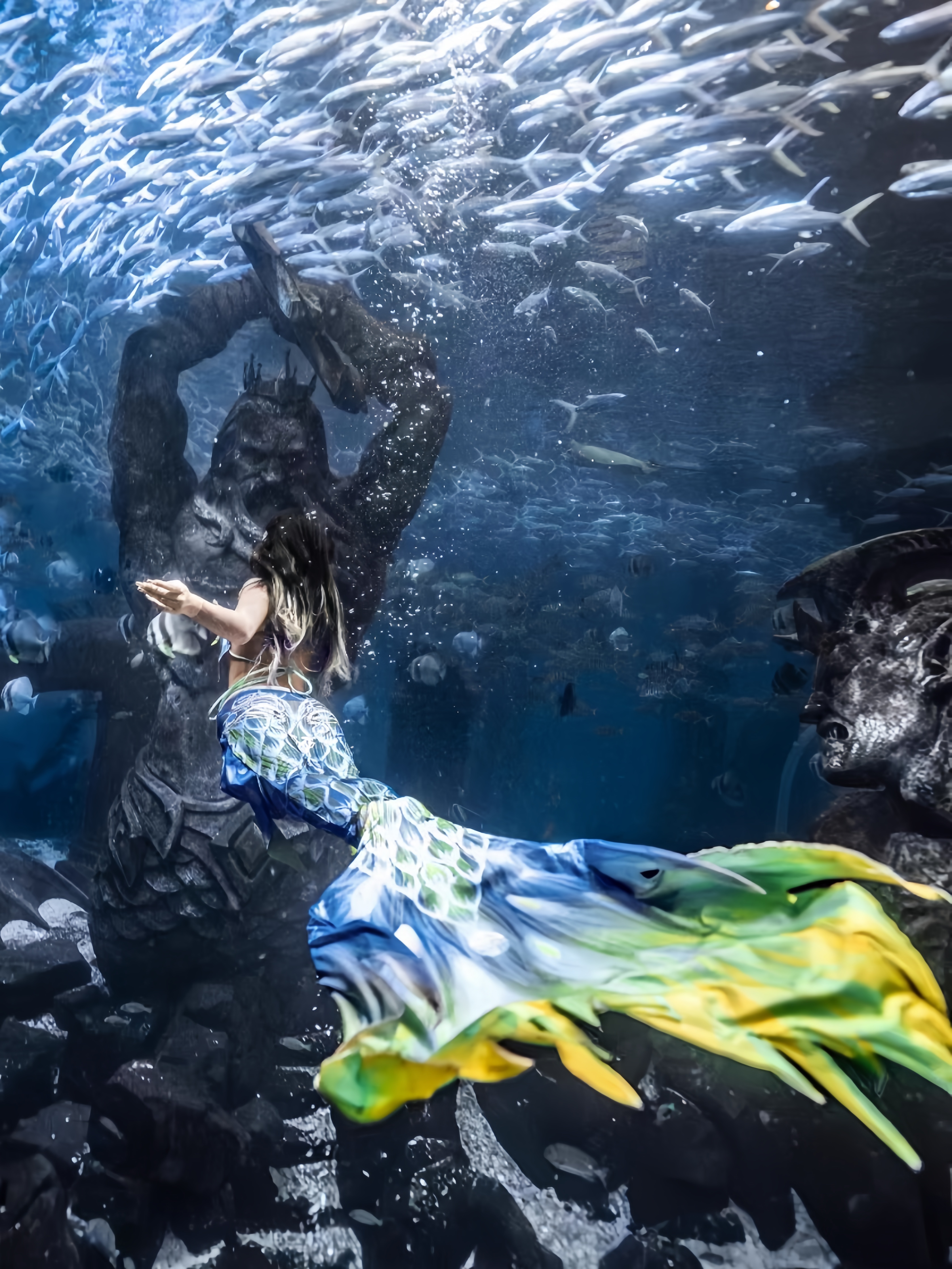 Mermaid Tail Adult Ladies Swim - Aquarium & Marine Museum Kota Kinabalu recensione e prezzo